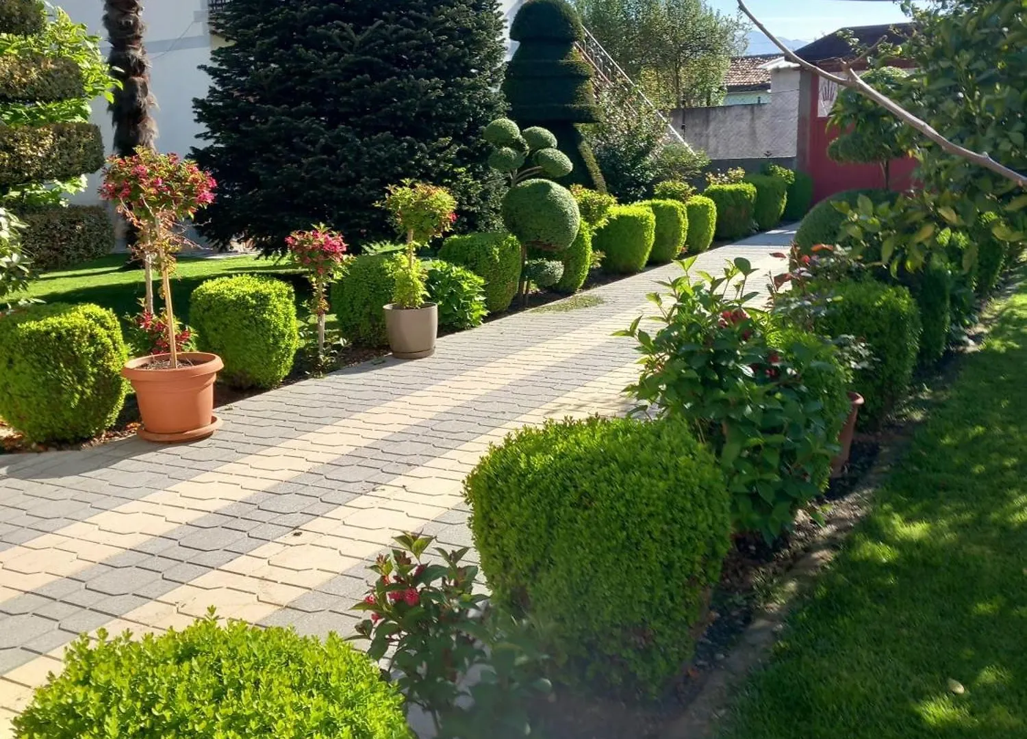 Green House Polisi i Vogel